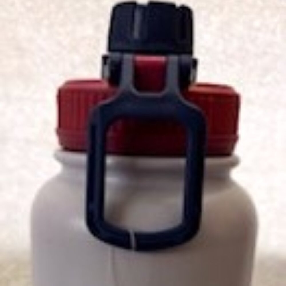 Popsugar 32 ounce stainless steel water bottle NWT